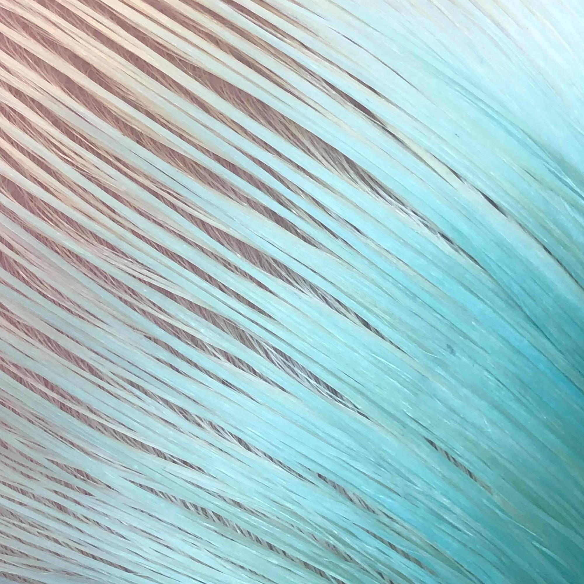 How to Perform a Strand Test – Good Dye Young Inc